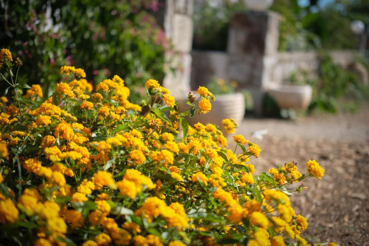Vretti'S House Villa Fratsia Dış mekan fotoğraf